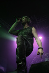 Gallery image 20