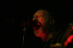 Gallery image 10