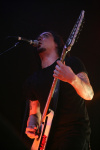 Gallery image 21