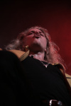 Gallery image 31