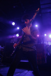 Gallery image 39