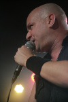 Gallery image 50
