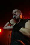 Gallery image 21