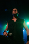 Gallery image 23