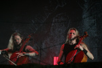 Gallery image 28