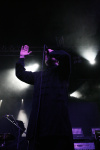 Gallery image 29