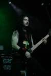 Gallery image 20