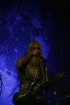 Gallery image 101