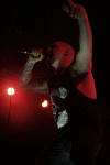 Gallery image 11