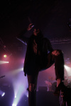 Gallery image 24