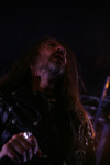 Gallery image 28