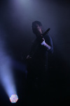 Gallery image 30