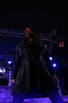 Gallery image 29