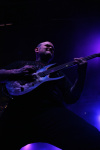 Gallery image 72