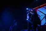 Gallery image 69