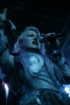 Gallery image 30