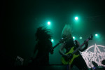 Gallery image 21