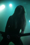 Gallery image 28