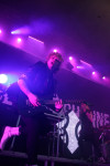 Gallery image 30