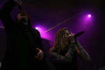 Gallery image 53