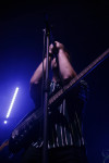 Gallery image 21