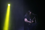 Gallery image 31