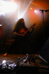 Gallery image 11
