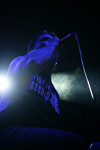Gallery image 24