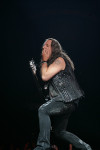 Gallery image 101