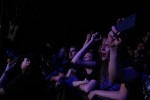 Gallery image 33