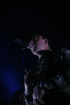 Gallery image 37