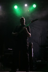 Gallery image 20