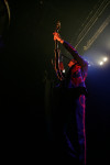 Gallery image 38