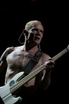 Gallery image 80