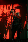 Gallery image 22