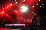 Gallery image 36