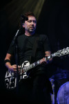 Gallery image 101