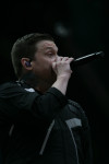 Gallery image 11