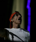 Gallery image 39