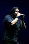 Gallery image 38