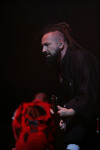 Gallery image 21