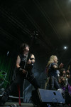 Gallery image 39