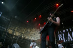 Gallery image 32