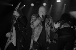 Gallery image 101