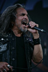 Gallery image 30