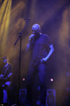 Gallery image 10