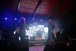 Gallery image 31