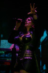 Gallery image 28