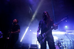Gallery image 20