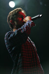 Gallery image 30
